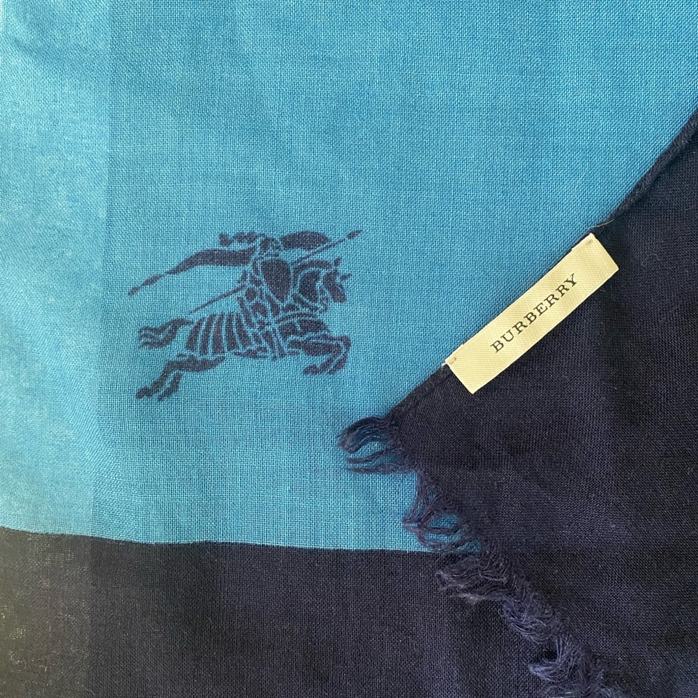Burberry men’s scarf.